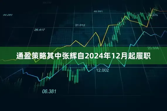 通盈策略其中张辉自2024年12月起履职
