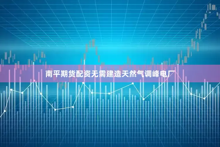 南平期货配资无需建造天然气调峰电厂