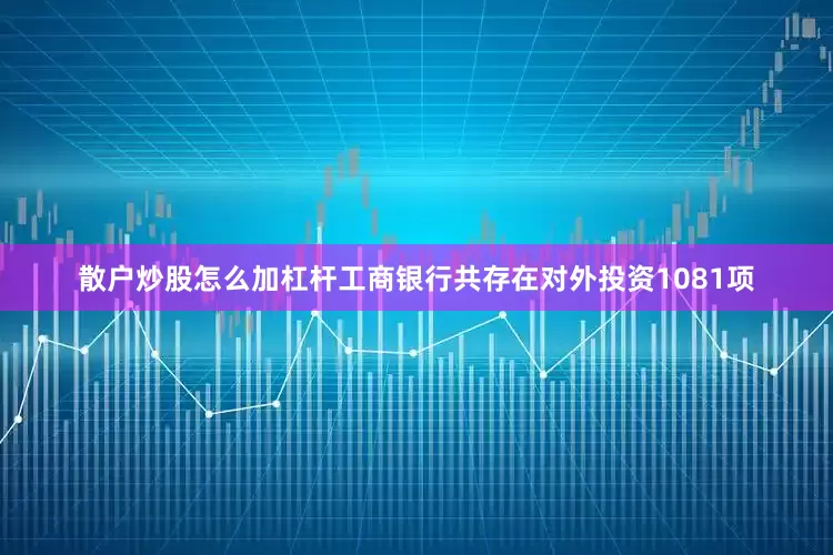 散户炒股怎么加杠杆工商银行共存在对外投资1081项