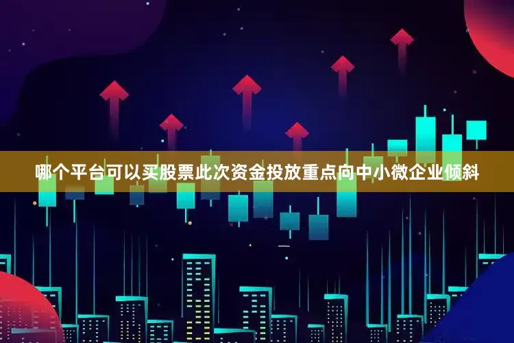 哪个平台可以买股票此次资金投放重点向中小微企业倾斜